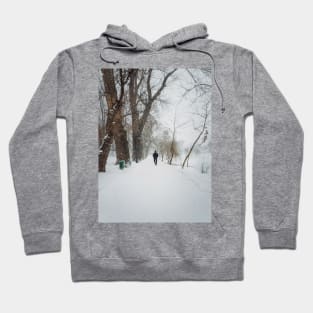 wandering the snowy park Hoodie